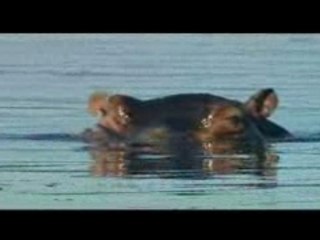 Conflits dans un fleuve