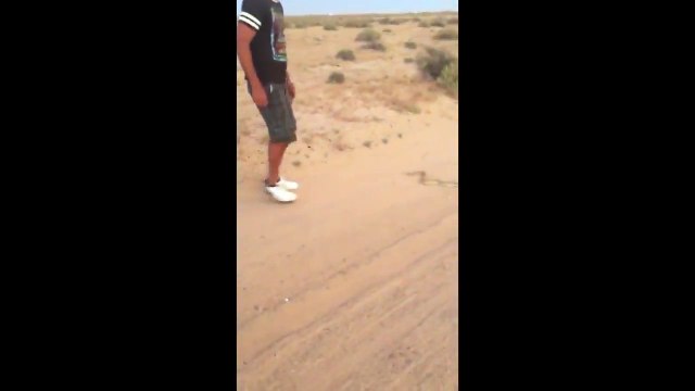 Il chope un serpent très agressif à la main... Dingue