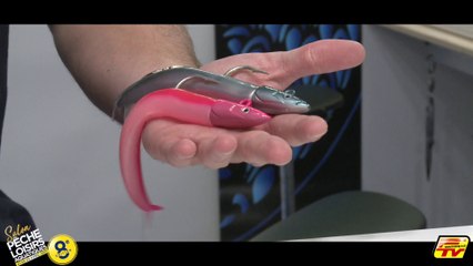 CAGNES 2017 - FIIISH