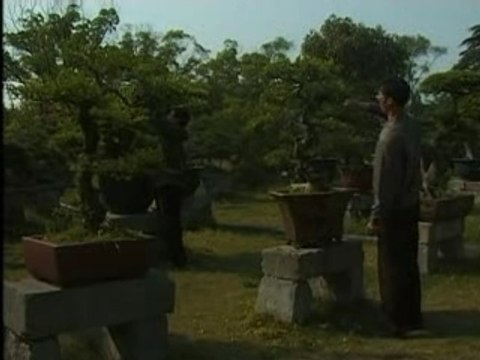 Carnets de Chine : Les jardins