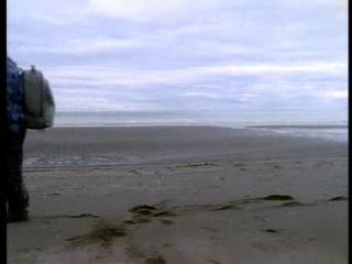 Timothy et les grizzlis