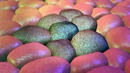 Le cancer de l'estomac en vidéo