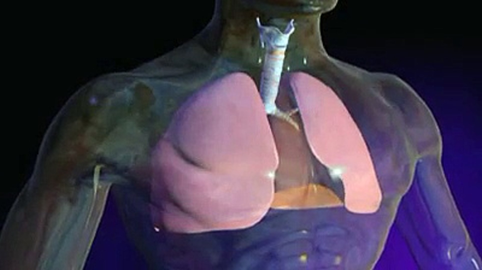 Peut On Mourir D Un Pneumothorax Le pneumothorax expliqué en vidéo - Vidéo Dailymotion