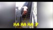 Can't stop laughing after watching this video-Daf_2-