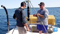 See How Scientists Use Underwater Scanning Technology To Find Hidden Details-XRasfs6