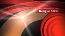 Top 5 Remedies To Treat Dengue Fever-jsy