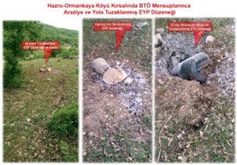 Eğitimli Köpekler Buldu, Güvenlik Güçleri Imha Etti