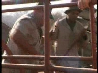 Menace sur la savane africaine