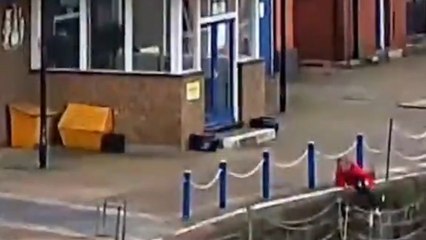 Worker hailed as hero after pulling Felix the cat from Thames