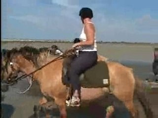 Il était une fois dans la Baie de Somme