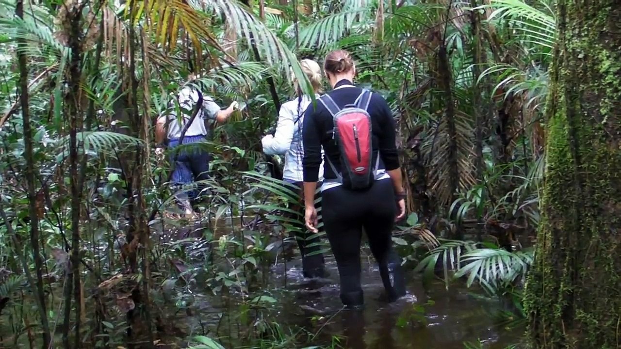 Tapir Lodge - Cuyabeno Wildlife Reserve, Amazon Rainforest - Ecuador