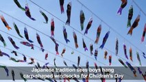 Carp-shaped windsocks in Tokyo for Children's Day