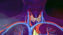 Maladie thyroïdienne expliquée en vidéo