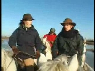 La Camargue : envolée sauvage