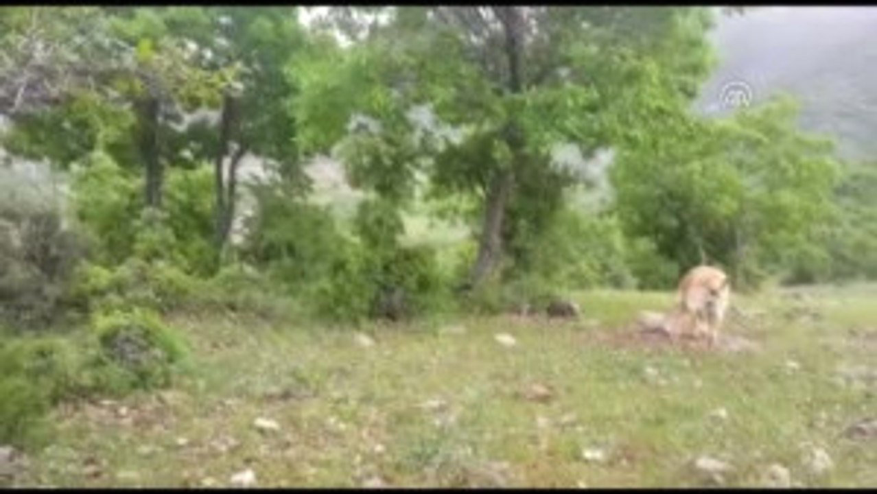 Teröristlerin Tuzakladığı 2 Patlayıcı Düzeneği Imha Edildi