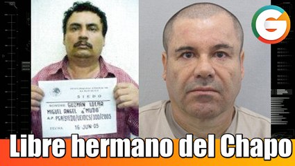 Libre hermano de "El Chapo" Guzmán tras 11 años de prisión