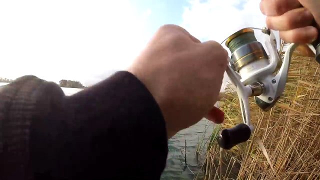 Böyle Sazan Avı Hiç Görmediniz - At Çek Aynalı Sazan Avı 10 kg