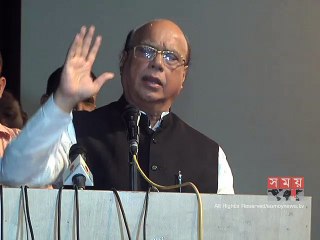 সহায়ক সরকার বলে কিছু নাই, জনগণই সহায়ক: নাসিম