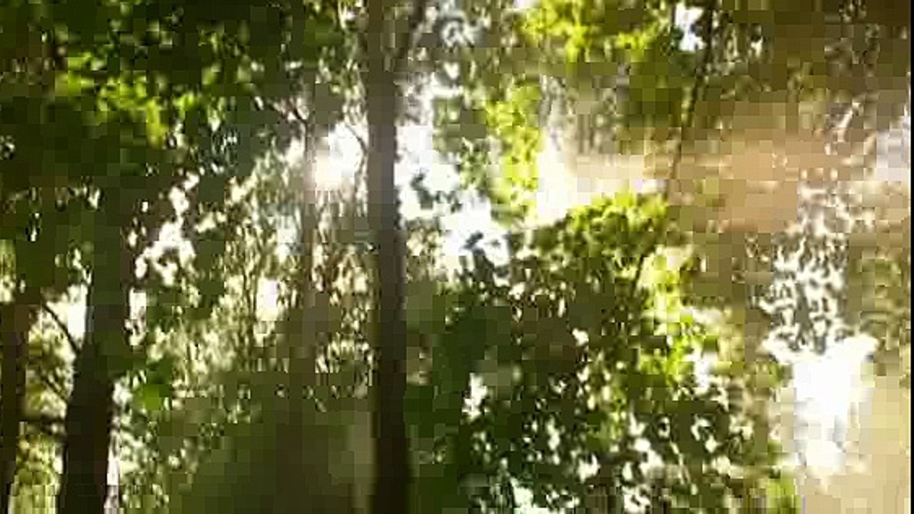 Frankie Boyles Tramadol Nights S01 E02