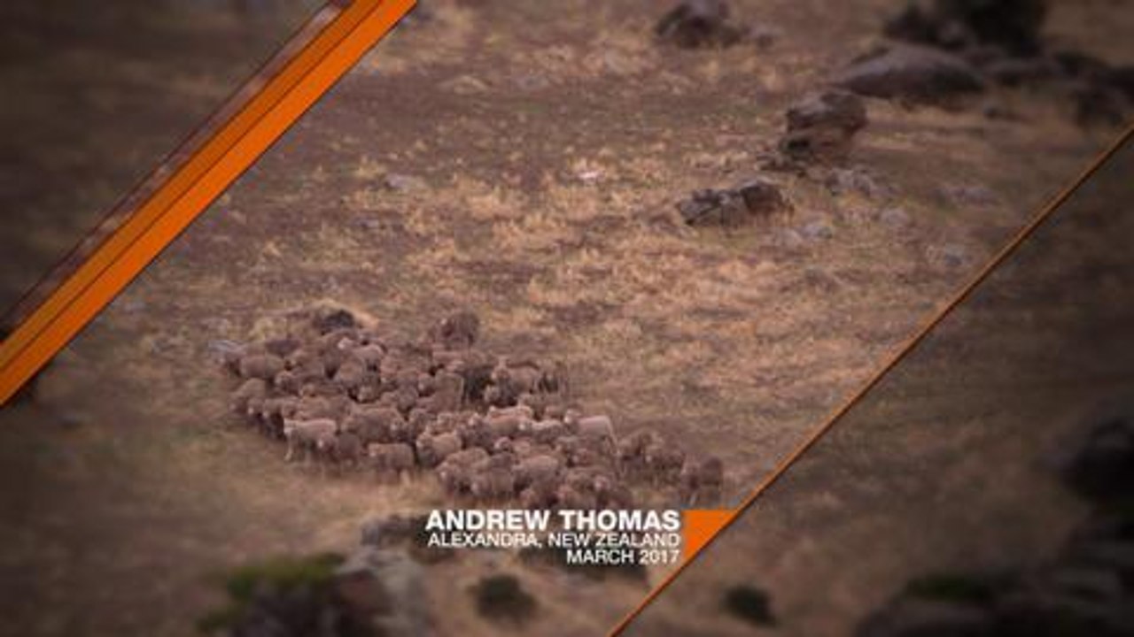 Post Script - Andrew Thomas - New Zealand promo