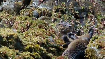 The Hunt S01E06 WEB-DLx264-OM part 2/2