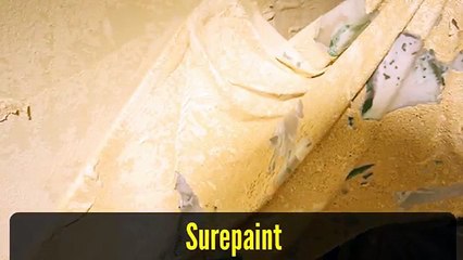 Best Brisbane House Painters - Surepaint 0449 846 744
