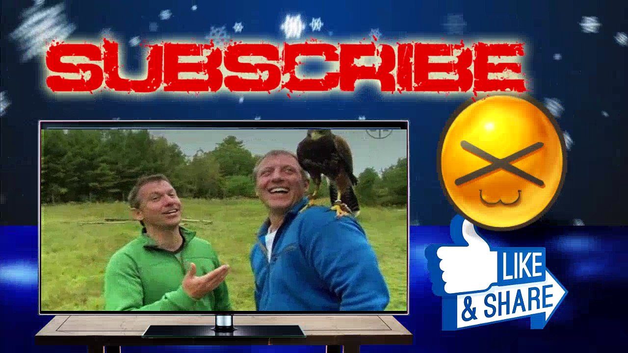 Wild Kratts - Raptor Round Up