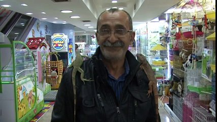 İguanalar Çocukların İlgi Odağı Oldu