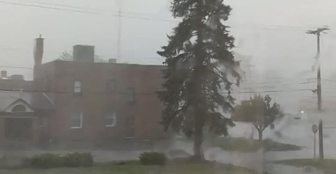Parked Cars Narrowly Escape as Ohio Storm Topples Tree in Boardman