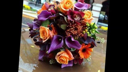 djil edjilela (ya hbib elkhatar) , جيل الجيلالة (يا حبيب الخاطر)