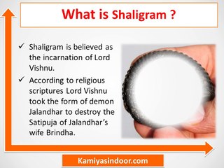 शालिग्राम शिला के प्रयोग और फायदे हिंदी में, शालिग्राम की पूजा मंत्र सहित