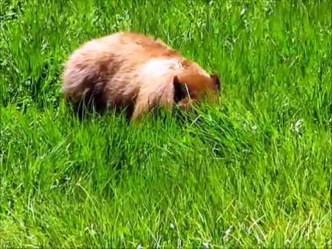 Yosemite National Park Waterfalls and Valley