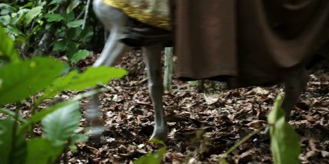 Marco Polo - S01E04