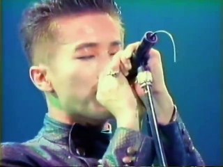 TWIST OF LOVE   SOFT BALLET