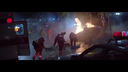 Never leave your pet