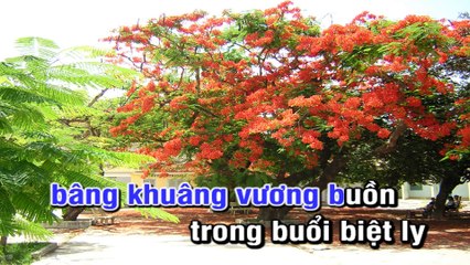 Quê hương bốn mùa - Tuấn Vũ & Như Mai