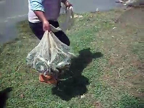 Nehiri Kuruttu Adam Serpme İle Balık Avı