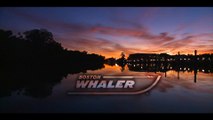 Boston Whaler 270 Dauntless