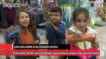 İguanalar çocukların ilgi odağı oldu