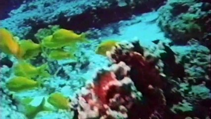 Paradise (completo ITA)- parte 2