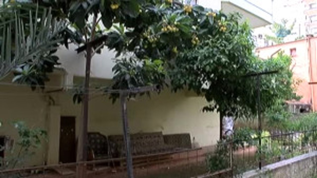 Ağaçtaki Meyveyi Almaya Çalışan 9 Yaşındaki Zeynep'in Bacağına Demir Korkuluk Saplandı