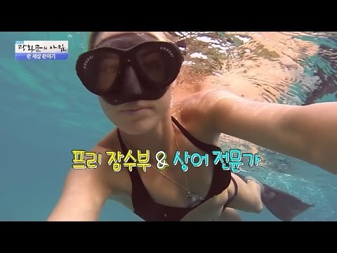 현존 최대 어류 고래상어와 헤엄치는 여자! [광화문의 아침] 286회 20160801