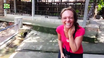 A Cute And Funny Baby Elephant Videos