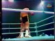 Carlos Palomino vs Dave 'Boy' Green (14-06-1997) Full Fight