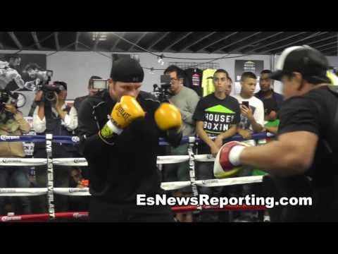 Canelo - Conor McGregor Will See That Boxing Is Not As EASY As He Thinks!! esnews boxing