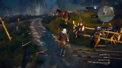 LETS PLAY : THE WITCHER (103)