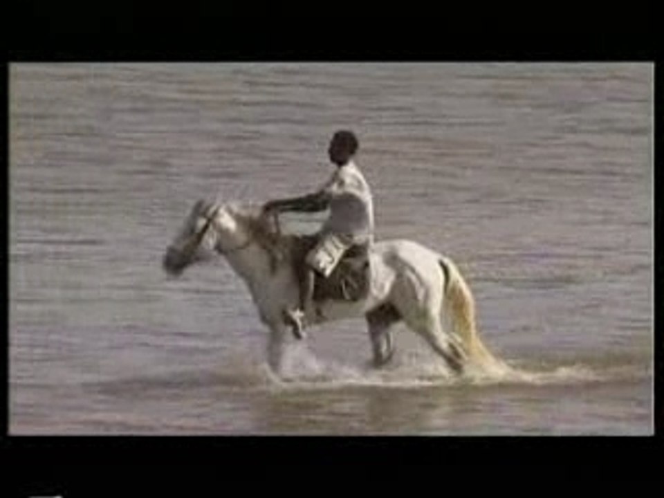 Destination Tchad
