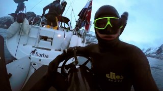 GoPro Awards - Freediving with Wild Orcas-YdDwK