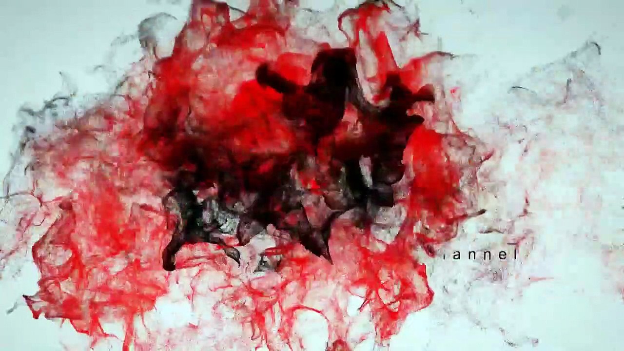 PSEUDOTROPHEUS ACEI YELLOW TAIL AFRICAN CICHLID-A7LCk