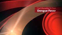 Top 5 Remedies To Treat Dengue Fever-js
